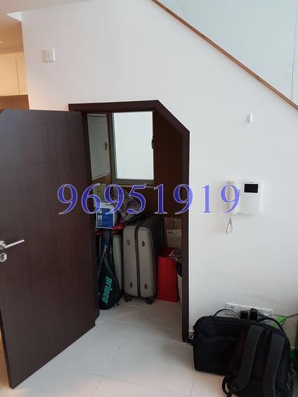The Rochester Residences (D5), Apartment #161563072